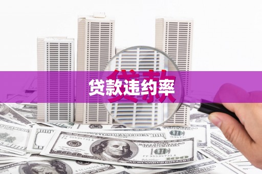 安丘贷款违约率