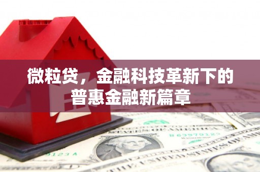 安丘微粒贷，金融科技革新下的普惠金融新篇章