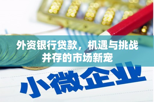 安丘外资银行贷款，机遇与挑战并存的市场新宠
