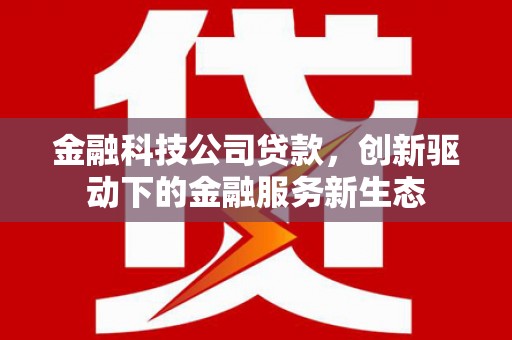 安丘金融科技公司贷款，创新驱动下的金融服务新生态