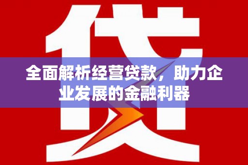安丘全面解析经营贷款，助力企业发展的金融利器