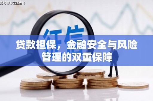 安丘贷款担保，金融安全与风险管理的双重保障