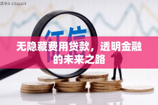 安丘无隐藏费用贷款，透明金融的未来之路