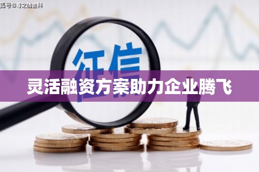 安丘灵活融资方案助力企业腾飞
