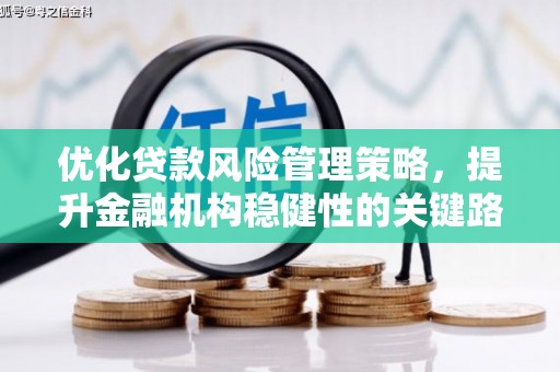安丘优化贷款风险管理策略，提升金融机构稳健性的关键路径