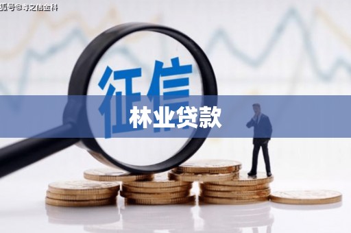 安丘林业贷款