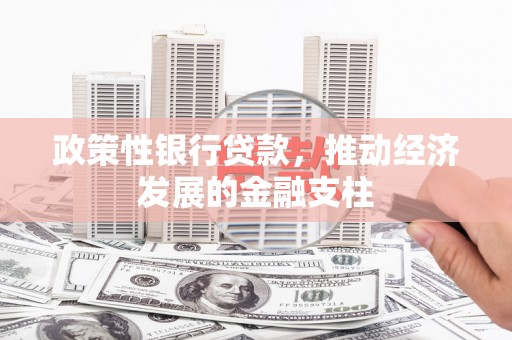 安丘政策性银行贷款，推动经济发展的金融支柱