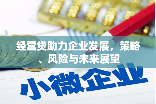 安丘经营贷助力企业发展，策略、风险与未来展望