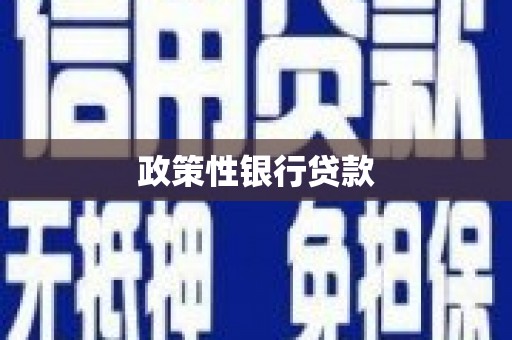 安丘政策性银行贷款