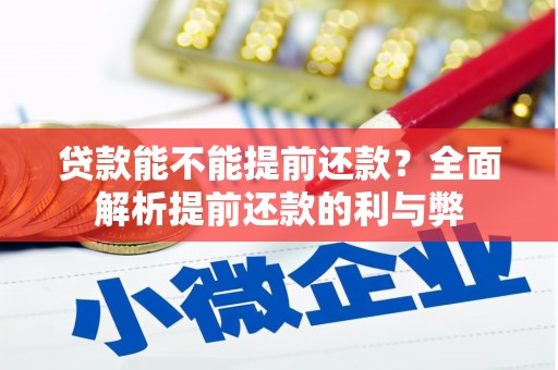 安丘贷款能不能提前还款？全面解析提前还款的利与弊