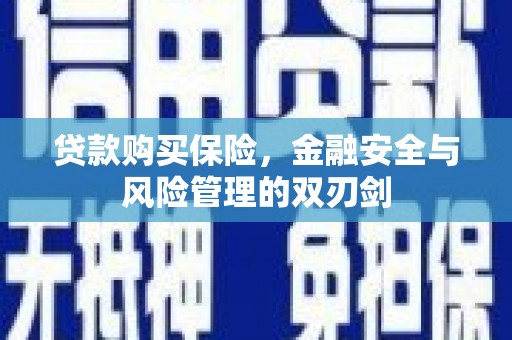 安丘贷款购买保险，金融安全与风险管理的双刃剑