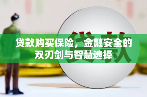 安丘贷款购买保险，金融安全的双刃剑与智慧选择