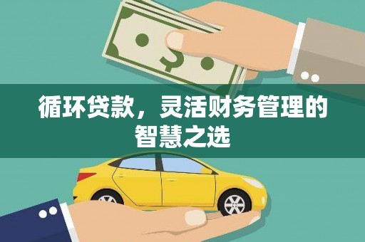 安丘循环贷款，灵活财务管理的智慧之选