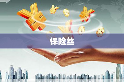 安丘保险丝