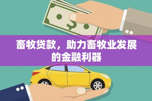 安丘畜牧贷款，助力畜牧业发展的金融利器
