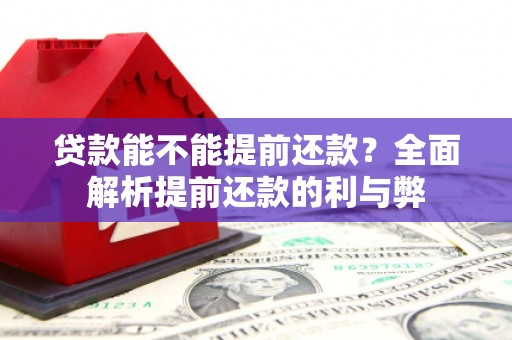 安丘贷款能不能提前还款？全面解析提前还款的利与弊