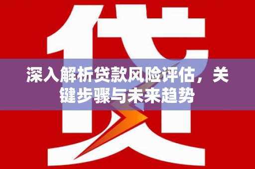 安丘深入解析贷款风险评估，关键步骤与未来趋势