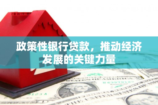 安丘政策性银行贷款，推动经济发展的关键力量