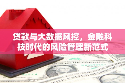 安丘贷款与大数据风控，金融科技时代的风险管理新范式