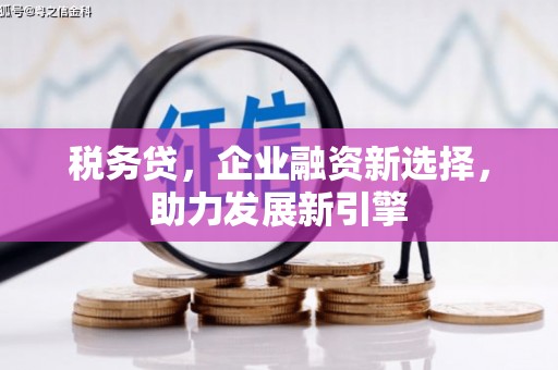 安丘税务贷，企业融资新选择，助力发展新引擎
