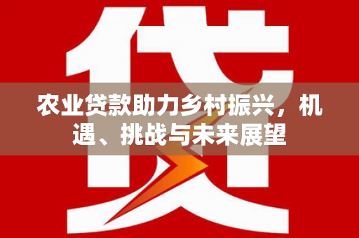 安丘农业贷款助力乡村振兴，机遇、挑战与未来展望