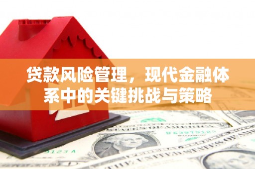 安丘贷款风险管理，现代金融体系中的关键挑战与策略