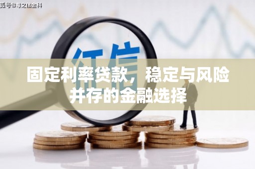 安丘固定利率贷款，稳定与风险并存的金融选择