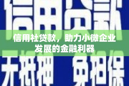 安丘信用社贷款，助力小微企业发展的金融利器