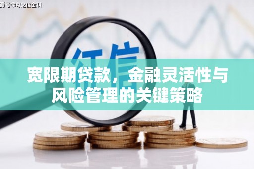 安丘宽限期贷款，金融灵活性与风险管理的关键策略