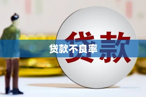 安丘贷款不良率