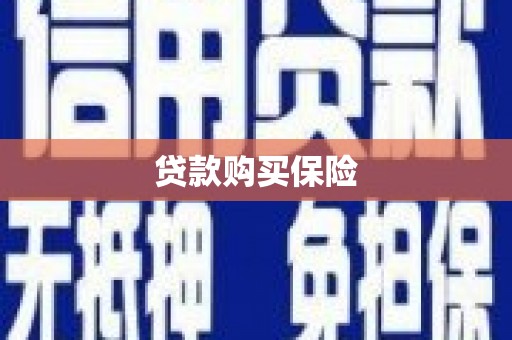 安丘贷款购买保险