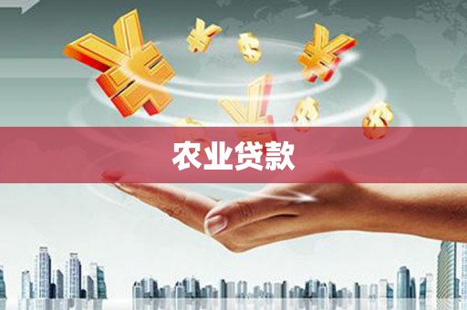 安丘农业贷款