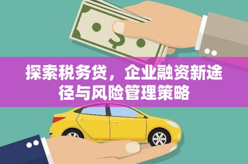 安丘探索税务贷，企业融资新途径与风险管理策略