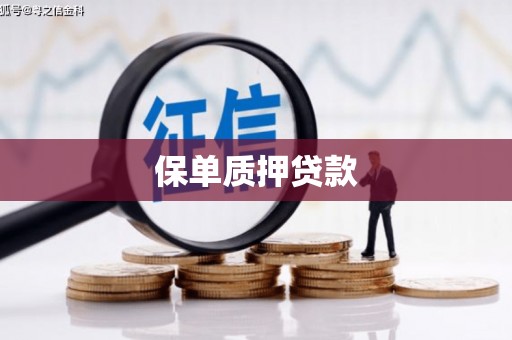安丘保单质押贷款