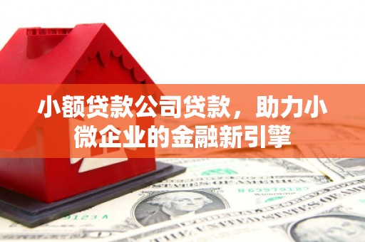 安丘小额贷款公司贷款，助力小微企业的金融新引擎