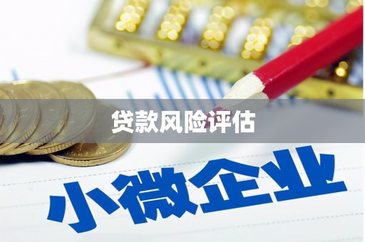 安丘贷款风险评估