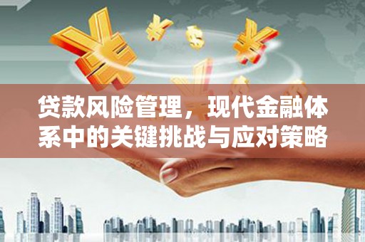 安丘贷款风险管理，现代金融体系中的关键挑战与应对策略