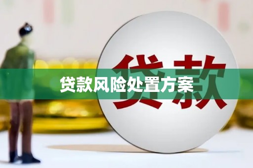 安丘贷款风险处置方案
