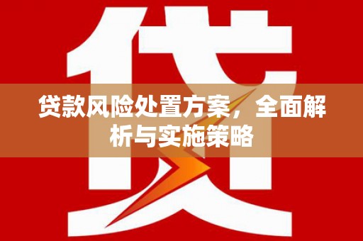 安丘贷款风险处置方案，全面解析与实施策略