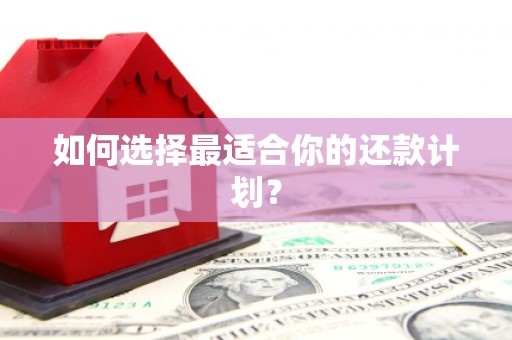 安丘如何选择最适合你的还款计划？